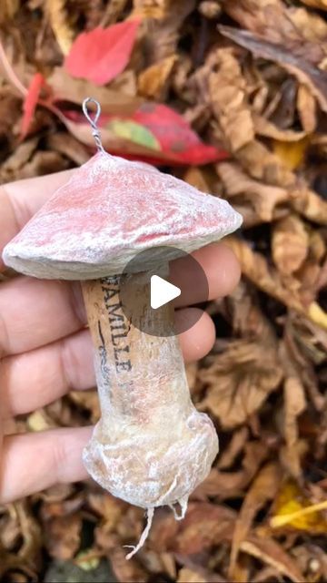 Heinz & Brummel on Instagram: "Hey everybody - I‘m back on my work table with a new project 🍄🍁... would love to hear what you think about it... I was always wondering about what I could make of this beautiful material cork as its always much too valuable to throw it away. But also most of the things you can make with it would look like a child made it 😁So what do you think about the cork mushrooms? Do you like the one with the basis more or the one without??? • • • #heinzundbrummel #mushrooms #cork #wine #spuncotton #handmade #autumn #diy" Cork Mushroom Diy, Cork Mushrooms, Autumn Diy, Think About It, Work Table, New Project, What You Think, Ever After, The Things