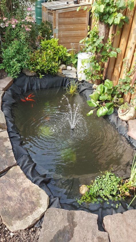 Ponds Ideas, Pond Decor, Fish Pond Gardens, Outdoor Ponds, Pond Water Features, Fish Pond, Water Garden, Water Features, Koi