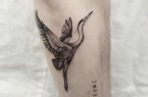 Fine Line Heron Tattoo, Blue Herring Tattoo, Herron Tattoo, Fine Line Bird Tattoo, Tattoo Crane, Heron Tattoo, Mandela Tattoo, Vegan Tattoo, Single Needle Tattoo