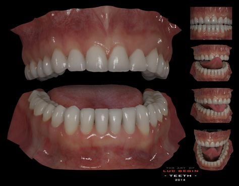 Generic Teeths., Luc Bégin on ArtStation at… Mouth Anatomy Reference, Teeth Reference, Mouth Anatomy, Zbrush Anatomy, Teeth Anatomy, 3d Maya, 3d Anatomy, Head Anatomy, Face Anatomy