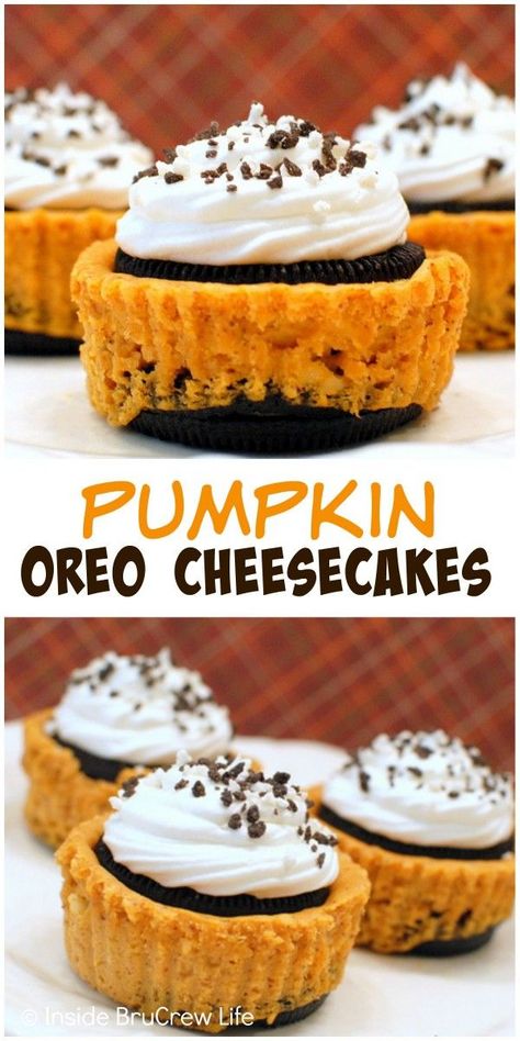 Mini pumpkin cheesecakes sandwiched between an Oreo cookie. These are the perfect fall dessert! Pumpkin Oreo Cheesecake, Pumpkin Cheesecakes, Mini Pumpkin Cheesecake, Dessert Oreo, Coconut Dessert, Brownie Desserts, Desserts Vegan, Oreo Dessert, Oreo Cookie