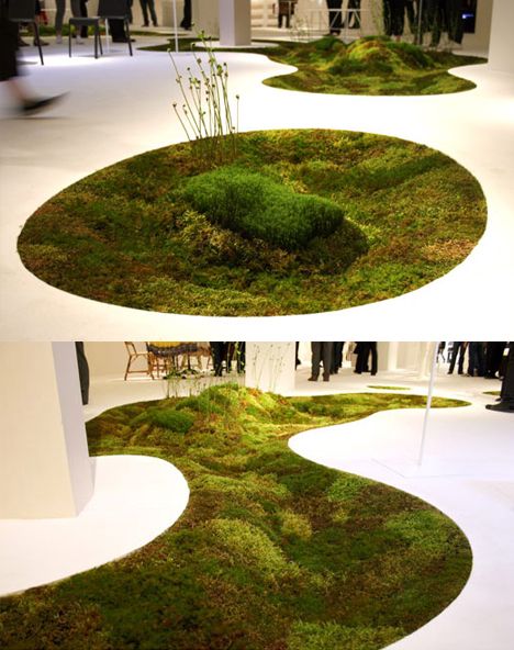 Augustin Hernandez, Mars Architecture, Moss Carpet, Moss Planter, Moss Growing, Organic Interiors, Austin House, Natural House, Moss Rug