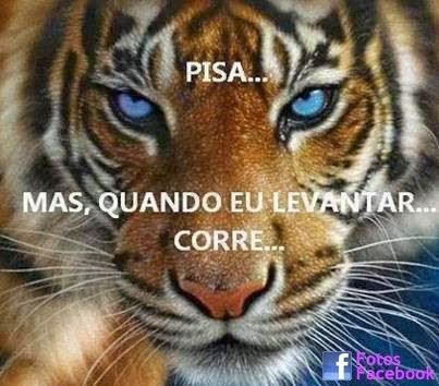 Mensagens Especiais: Pisa... Mas, Quando Eu Levantar CORREEEEEEE... Art Tigre, Tiger Drawing, Tiger Painting, Tiger Eyes, Jewelry Clothing, Wildlife Paintings, Tiger Art, Cheetahs, Electronics Jewelry