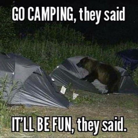 Go camping, they said. It'll be fun, they said. #campvibes #camping #camper #funny #funnymemes Camping Jokes, Camping Quotes, Funny Camping, Camping Humor, They Said, Komik Internet Fenomenleri, Funny Animal Pictures, Go Camping, Animal Memes