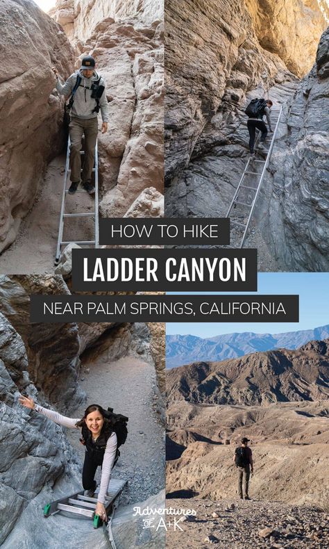 Ladder Canyon Palm Springs, Palm Springs Hiking, California Hiking, California Bucket List, 29 Palms, California Hikes, Salton Sea, Hiking Guide, Palm Springs California