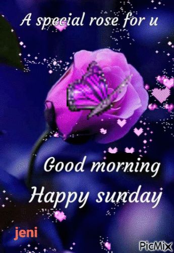 Happy sunday Joyful Wallpaper, Happy Sunday Gif, Happy Sunday Hd Images, Good Morning Sunday Pictures, Sunday Gif, Good Morning Sister Quotes, Happy Sunday Images, Good Morning Sunday Images, Happy Sunday Morning