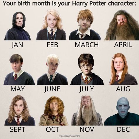 Your Birth Month Is Your, Harry Potter Zodiac, Citate Harry Potter, Harry Potter Character, Glume Harry Potter, Tapeta Harry Potter, Funny Harry Potter Jokes, Harry Potter Illustrations, Harry Potter Memes Hilarious