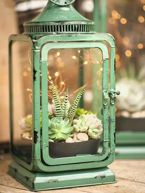 Succulent Outdoor, Large Pillar Candles, Birdhouse Craft, Old Lanterns, Summer Centerpieces, Lantern Ideas, White Lanterns, Fixer Upper Style, Diy Pots