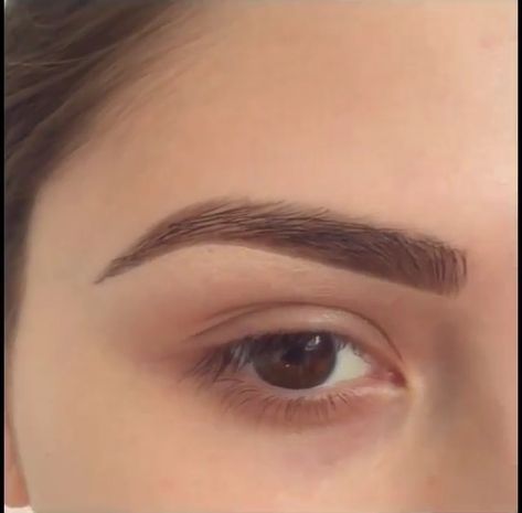 EYEBROW GOALS Natural Arch Eyebrows, Perfect Thick Eyebrows, Curved Eyebrows Shape, Arched Eyebrows Natural, Thick Arched Eyebrows, High Arch Eyebrows, Arch Eyebrows, Thick Eyebrow Shapes, Eyebrow Goals