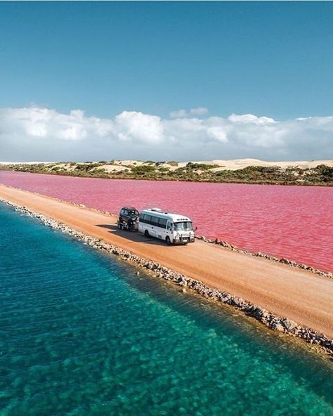 Lake MacDonnell Pink Lake Australia, Hutt Lagoon, Pink Lake, Travel Outdoors, Places On Earth, Beautiful Places To Travel, South Australia, Travel Goals, Australia Travel