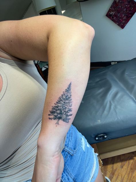 Blue Spruce Tattoo, Spruce Tattoo, Blue Spruce, Pine Tree, Tatting, Tattoos, Blue