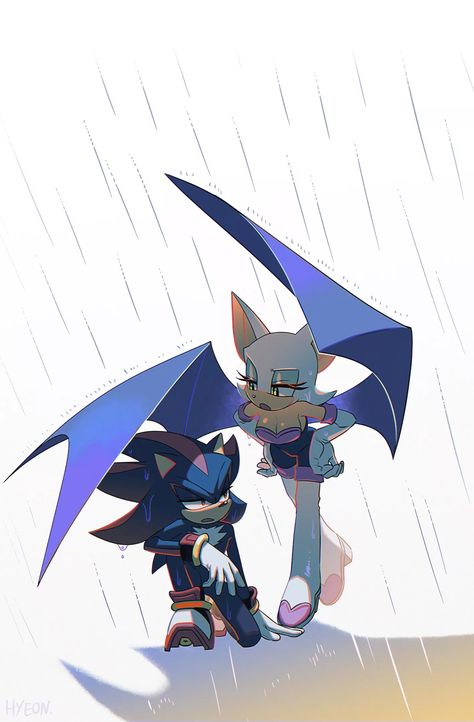 Shadow And Rouge, Rouge The Bat, Sonic Heroes, Sonic Funny, Sonic Fan Characters, Sonic Franchise, Hedgehog Art, Sonic Adventure, Sonic And Shadow