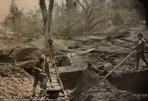 Stunning never before seen photos of California gold rush | Daily Mail Online Placerville California, California Hills, Amador County, California Gold Rush, Tintype Photos, Gold Prospecting, Nevada Mountains, California History, California Gold