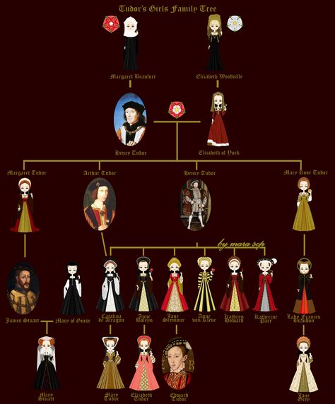 . Henry Viii Family Tree, The Tudor Family, Tudor Fashion, Complete Family, Tudor Dynasty, Royal History, Tudor Era, Strange History, Retro Housewife