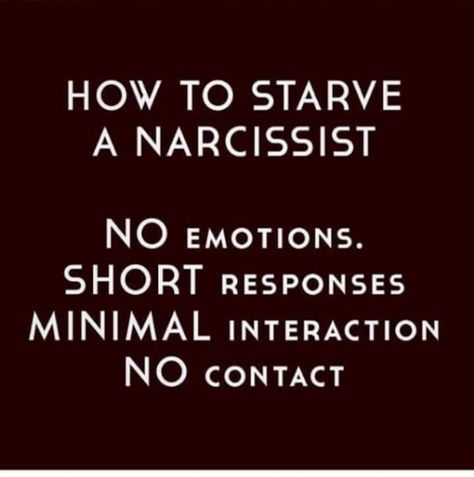 Narcissists Quotes, Narassist Quotes, Narcisstic Quotes, Narcissism Quotes, Narcissism Relationships, Flying Monkeys, Narcissistic People, Narcissistic Behavior, Food Supply