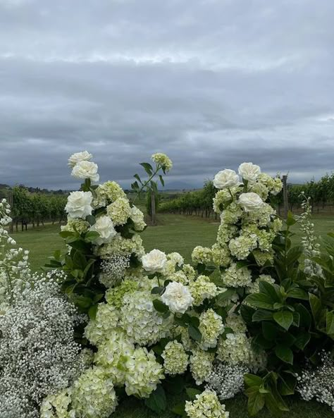 Andrea Sanchez on Instagram: "The Ceremony Installation, my favourite statement piece.
The vines complimented the florals so beautifully, I lovedddd creating this today, I was in my little flower bubble! It was greattttt 😊
Thank you Brooke & Shane 🤍
& Congratulations! 🫶🏽" White And Green Hydrangea Wedding, Green Hydrangea Wedding, Ceremony Installation, White Hydrangea Wedding, Hydrangea Bouquet Wedding, Wedding Collage, Hydrangea Wedding, Table Arrangements Wedding, Hydrangea Bouquet