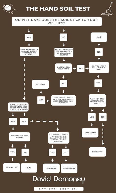 How to test your garden soil - David Domoney Peat Soil, Soil Test, Soil Types, Grow Plants, Soil Testing, Gardening Advice, Top Soil, Garden Soil, Types Of Soil