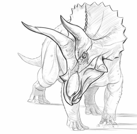 Triceratops Sketch, Triceratops Drawing, Dinosaur Sketch Tattoo, Sketches Dinosaur, Dinosaur Sketch Realistic, Dinosaur Skeleton Sketch, Barn Drawing, Dino Drawing, Animal Jam Play Wild