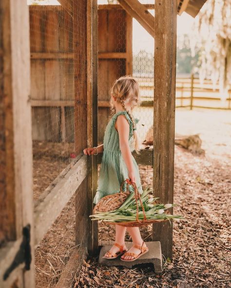 Last month I held Motherhood Minis at the CF Vintage Farm in Ocala. It was a gorgeous day for these sessions and I loved getting to snuggle some of my favorite kiddos. Here are a few favorites from the day. #ocalaphotographer #ocalafamilyphotographer #motherhood #vintagefarmhouse #cfvintagefarm #ocala Motherhood Minis, Magnolia Farms, Farm Photography, Vintage Farm, Wedding Family, Detail Shots, Vintage Farmhouse, Florida Wedding, Last Month