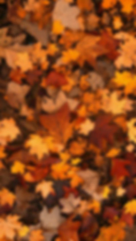 November Theme Wallpaper, Fall Time Wallpaper Iphone, Fall Leaves Phone Wallpaper, Early Fall Background Wallpaper, Fall Themed Backgrounds Iphone, Fall Apple Watch Wallpaper Aesthetic, Plain Fall Background, Fall Widgets Wide, Thanksgiving Widgets Aesthetic