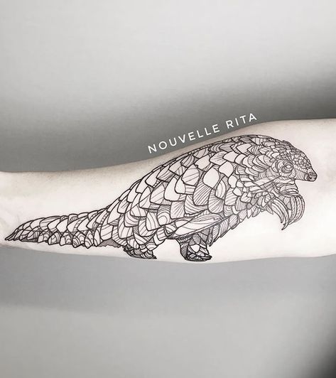 Pangolin Tattoo, Pangolin Tattoo Design, Crochet Pangolin, Cute Pangolin, African Pangolin, Ouija Tattoo, Pangolin Art, Africa Tattoos, Texture Art