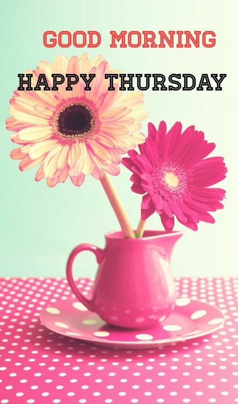 Gm Thursday, Thursday Greetings, Good Morning Happy Thursday, Thursday Quotes, Good Morning Happy, Good Morning Greetings, Happy Thursday, Morning Greeting, Daily Quotes