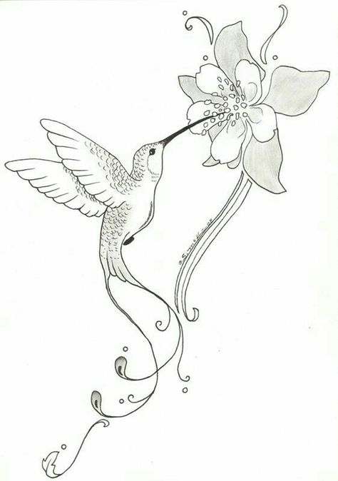 Hummingbird Hummingbird Sketch, Hummingbird Flower Tattoos, Bird Shoulder Tattoos, Hummingbird Drawing, Bird Tattoo Wrist, Small Bird Tattoo, Orchid Tattoo, Kunst Tattoos, Tattoo Zeichnungen