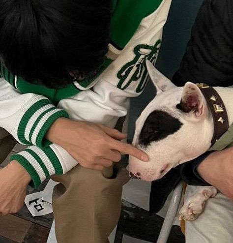 Wooyoung The Real, Wooyoung Details, Real Green, Pretty Hands, White Dog, Cute Aesthetic, White Dogs, White Aesthetic, Green Aesthetic