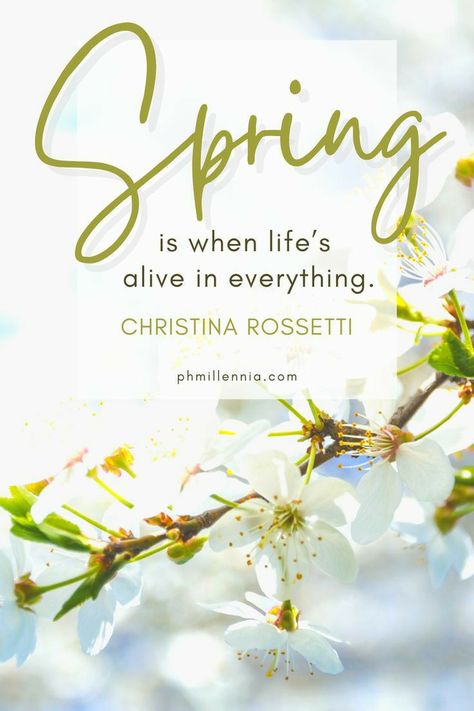 Spring Season Quotes, April Wallpaper Aesthetic, Spring Wallpaper Iphone, Aesthetic Spring Wallpaper, Wallpaper April, April Aesthetic, April Wallpaper, Rainbow Springs, Season Quotes