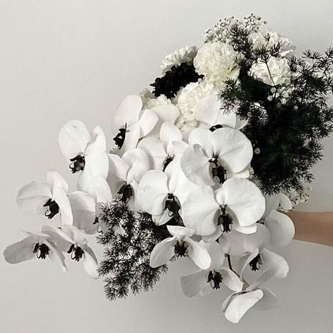 back to black 🖤 #floralart #floraldesign #bouquet #floralarrangement #floraldesigner #dubaiflorist #luxuryflorist #luxurylifestyle #giftideas Wedding Dinner Table Setting, Teal Napkins, White Orchids Wedding, Christmas Urns, Modern Wedding Ceremony, Black And White Wedding Theme, Luxury Florists, Gothic Floral, Makeup Images