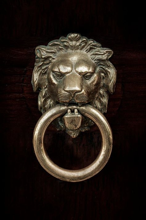 Close up of lion door knocker by Jaroslaw Blaminsky © Trevillion Images. Trevillion Images, Lion Door Knocker, Hidden Images, Door Knocker, Door Knockers, Us Images, Creative Projects, Close Up, Lion