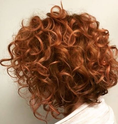 Curly Ginger Hair, Amber Hair, Short Red Hair, Red Curly Hair, Auburn Hair, Curly Hair Cuts, Hair Inspo Color, Short Curly Hair, Ginger Hair