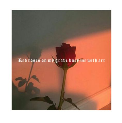 Lil skies -- Red Roses (feat. Landon Cube) Red Rose Asthetics, Rose Asthetics, Red Roses Quotes, Landon Cube, Spam Quotes, Lil Peep Hellboy, Xxxtentacion Quotes, Rose Quotes, Lil Skies