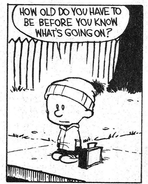 a la Calvin and Hobbes and also @ saint #existentialism #philosophy #calvinandhobbes Calvin And Hobbes Humor, Best Calvin And Hobbes, Bone Comic, Brain Wash, Calvin And Hobbes Quotes, Grad Quotes, Calvin And Hobbes Comics, Snoopy Cartoon, Photo Caption