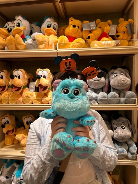 Disneyland Plushies, Monsters Inc Aesthetic, Sully From Monsters Inc, Disney Plushies, Sully Monsters Inc, Disney Stuffed Animals, Disney Photo Ideas, Disney 2024, Disney Souvenirs