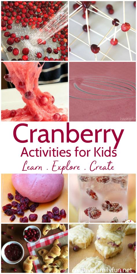 Play, explore, and learn with these fun Cranberry Activities for Kids. You'll find fun sensory ideas, learning activities, and yummy recipes. #Thanksgiving #kidsactivities #CreativeFamilyFun Cranberry Thanksgiving Book, Christmas Elementary Activities, Thanksgiving Stem Activities, Thanksgiving Stem, Preschool Food, Thanksgiving Activities Preschool, Cranberry Thanksgiving, Thanksgiving Toddler, Homeschool Holidays