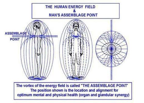 The human energy field quantum physics spiritual. The vortex of Man's energy field is the heart. Rusty James, Human Energy Field, Polarity Therapy, Human Energy, Nicolas Tesla, Crystal Healer, Energy Medicine, Body Energy, Quantum Mechanics