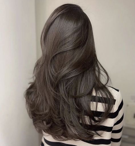 Dark Ash Hair Color, Dark Ash Brown Hair Colour, チョコレートブラウン ヘアカラー, Cool Tone Brown Hair, Brown Hair Korean, Ashy Brown Hair, Cool Brown Hair, Dark Chocolate Brown Hair, Ashy Hair