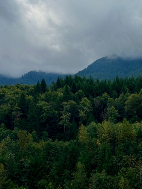 Washington State Aesthetic, Issaquah Washington, Miles Baby, General Aesthetic, Company Branding, Rustic Cabin, Take Me Home, Going Home, Safe Place