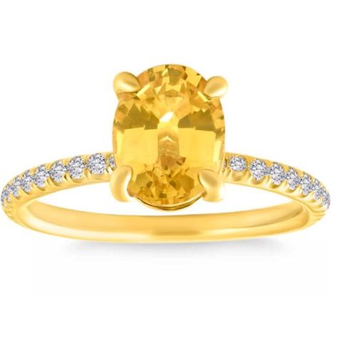 https://jewelleryrings.co.uk/ Find many great new & used options and get the best deals for 2 3/4Ct Oval Yellow Sapphire & Diamond Ring 14k Yellow Gold Lab Grown at the best online prices at eBay! Free delivery for many products! Oval Halo Ring, 3 Stone Diamond Ring, Sapphire Solitaire Ring, Sapphire Solitaire, Sapphire Diamond Ring, Pompeii, Diamond Solitaire Engagement Ring, Yellow Sapphire, Blue Diamond