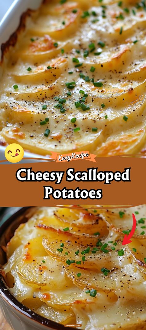 Enjoy the rich and creamy delight of Cheesy Scalloped Potatoes, a perfect side dish featuring thinly sliced potatoes layered with velvety cheese sauce and a hint of garlic. Bake until bubbly and golden for a side that complements any main dish, from roasts to grilled meats. #ScallopedPotatoes #CheesySides #ComfortFood Scalloped Potatoes With Meat, Sliced Potatoes With Cheese, Scallop Potatoes With Gruyere Cheese, Sliced Cheesy Potatoes, Thinly Sliced Potato Recipes, Scalloped Potatoes Sauce, Scalloped Potatoes Oven, Cheesy Sliced Potatoes, Ham And Cheese Scalloped Potatoes