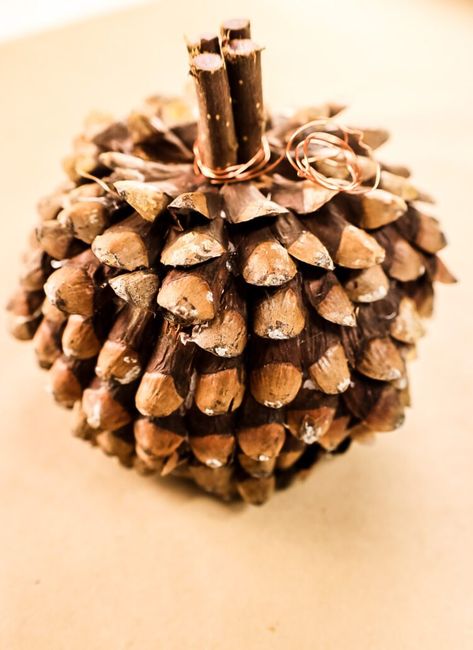 DIY Pine cone jpumpkin Pumpkin Photography, Diy Pumpkins, Clay Leaf, Fall Dining Room, Pumpkin Uses, Porch Pumpkins, Cone Crafts, Autumn Dining, Crabapple Tree