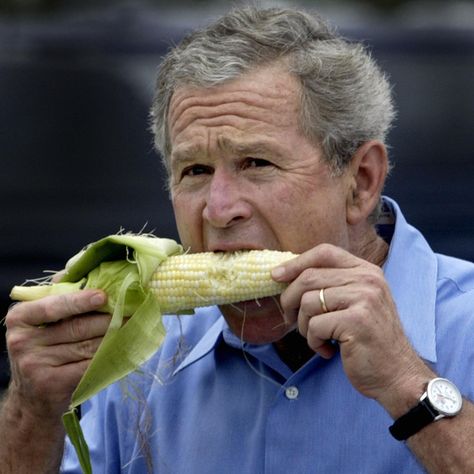 Corn on the Cob | 19 Foods That Are Too Damn Hard To Eat Bush Quotes, Food Fails, George Bush, Paula Deen, People Eating, Vegetarian Diet, Corn, Health And Wellness, Diet