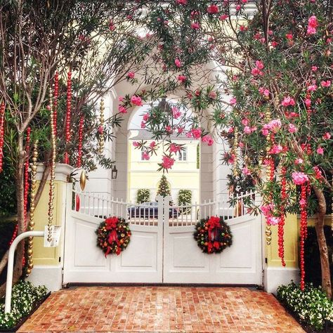 Beach Christmas Photos, Palm Beach Christmas, Palm Beach Restaurants, Happy Christmas Eve, Traditional Dining Rooms, Tropical Christmas, Beach Christmas, Chinoiserie Chic, Beach Chic