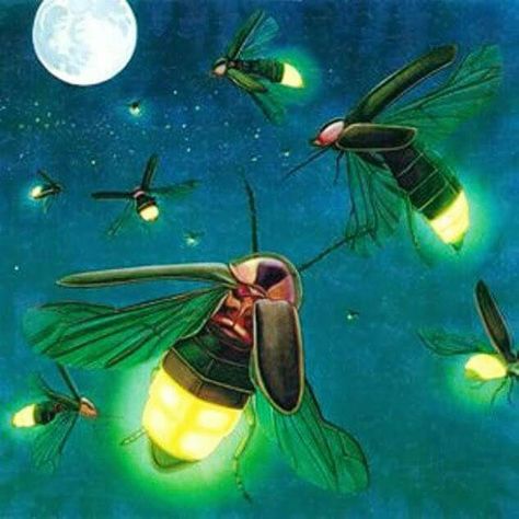 Luciérnagas - Fireflies Firefly Painting, Lighting Bugs, Lightning Bugs, Fireflies In A Jar, Firefly Art, Catching Fireflies, Tap Tap, Slaap Lekker, Kunst Inspiration