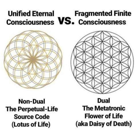 Sacred Geometry Meanings, Sacred Geometry Patterns, Nature Words, Sacred Geometry Symbols, Sacred Geometry Art, Spirit Science, Symbols And Meanings, Geometry Pattern, Geometry Art