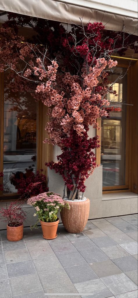 Christmas Store Front Windows Display Ideas, Fall Retail Window Displays, Fall Store Window Displays, Facade Decoration, German Decor, Flower Shop Display, Flower Shop Decor, Flower Shop Design, Decoration Vitrine