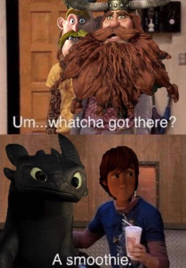 Httyd Funny, Dreamworks Characters, Httyd Art, Hiccup And Toothless, Dragon Memes, Artificial Christmas Garland, Httyd Dragons, Lego Ninjago Movie, Dragon Trainer