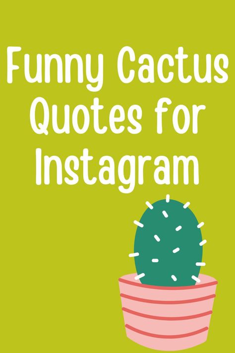 Cactus Sayings For Teachers, Cactus Love Quotes, Funny Cactus Sayings, Plant Lovers Quotes, Cactus Captions For Instagram, Cactus School Theme, Cactus Quotes Inspirational Short, Succulent Quotes Funny, Succulent Quotes Cute