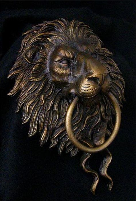 Small Front Door Entry, Lion Head Door Knocker, Sliding Door Window Treatments, Lion Door Knocker, Lost Things, Expensive Items, Red Front Door, Door Knobs And Knockers, Bronze Patina